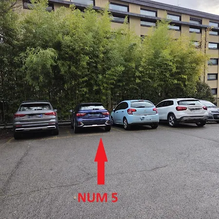 Lady Camollia Апартаменти Сієна