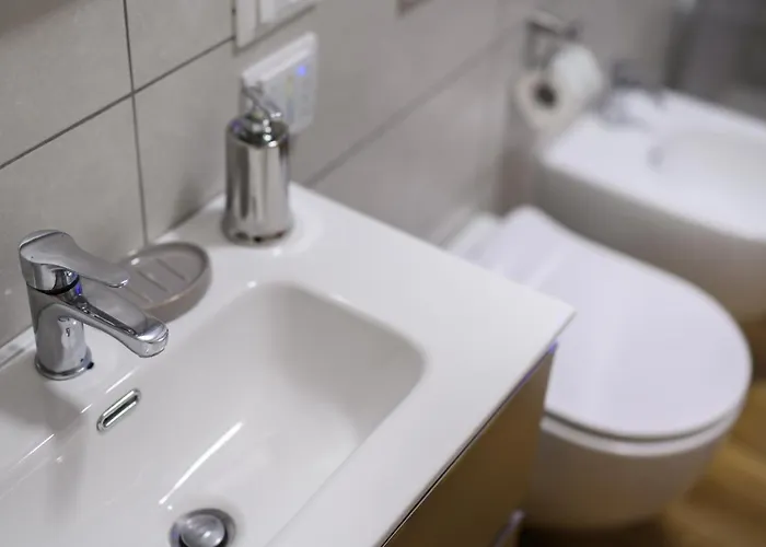 Lady Camollia Сієна