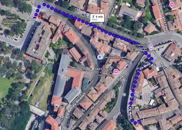 Lady Camollia Сієна