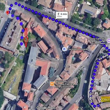 Lady Camollia Apartment Siena