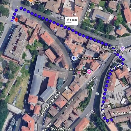 Lady Camollia シエーナ