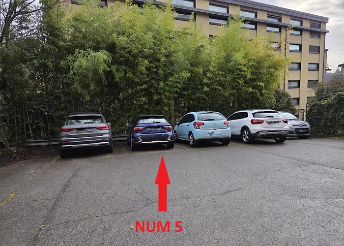 Lady Camollia アパート シエーナ